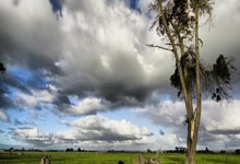 [NBA]詹姆斯26+6 骑士送2连败.