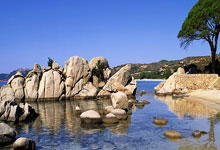 [NBA]爱德华兹分球底角 兰德尔三分百步穿杨.